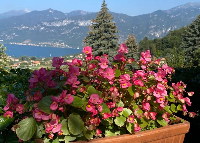 Panorama * 贝拉焦