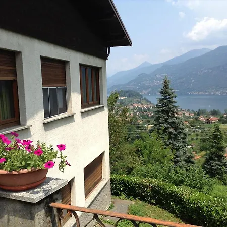 Panorama *