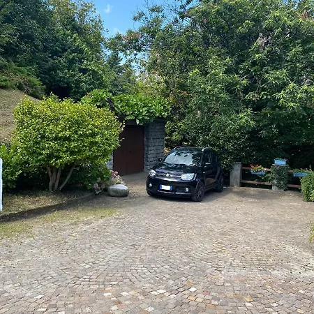 Daire Panorama - View