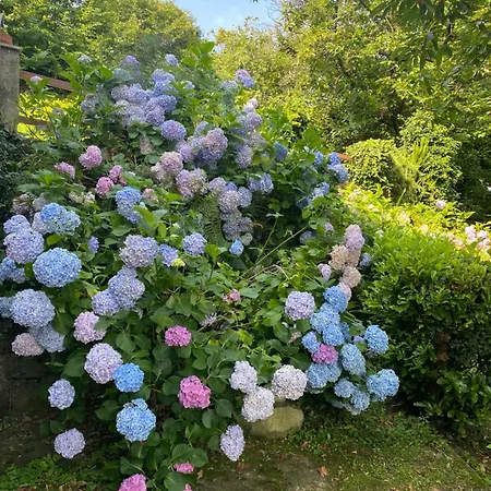 Panorama Апартаменты *